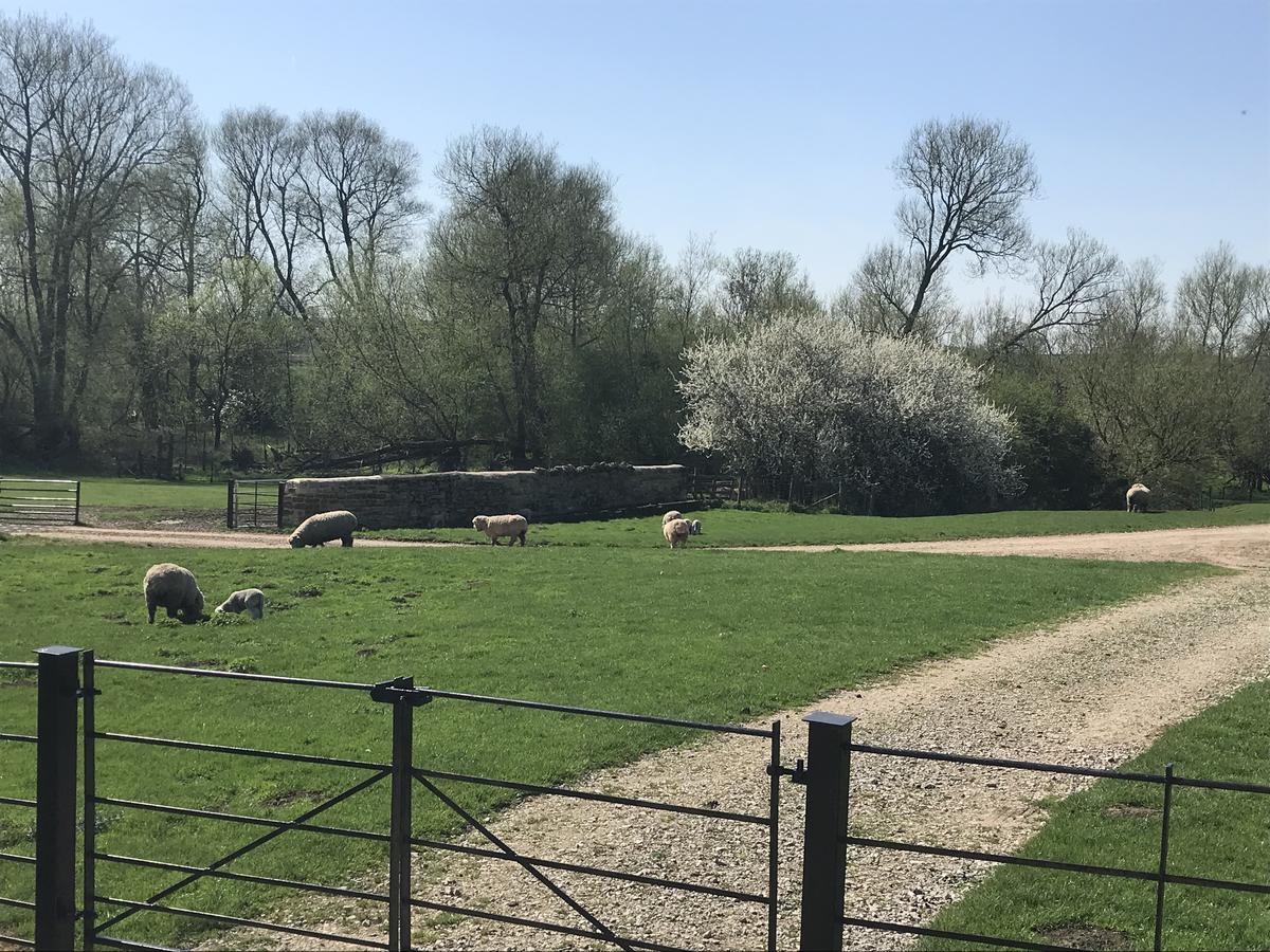 Вилла Weatherhead Farm Бакингем Экстерьер фото